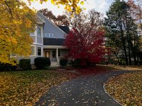 8 November 2018 Wellesley